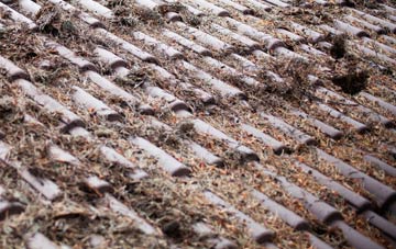 Newbiggin By The Sea roof cleaning companies