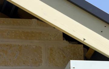 soffit repair Newbiggin By The Sea